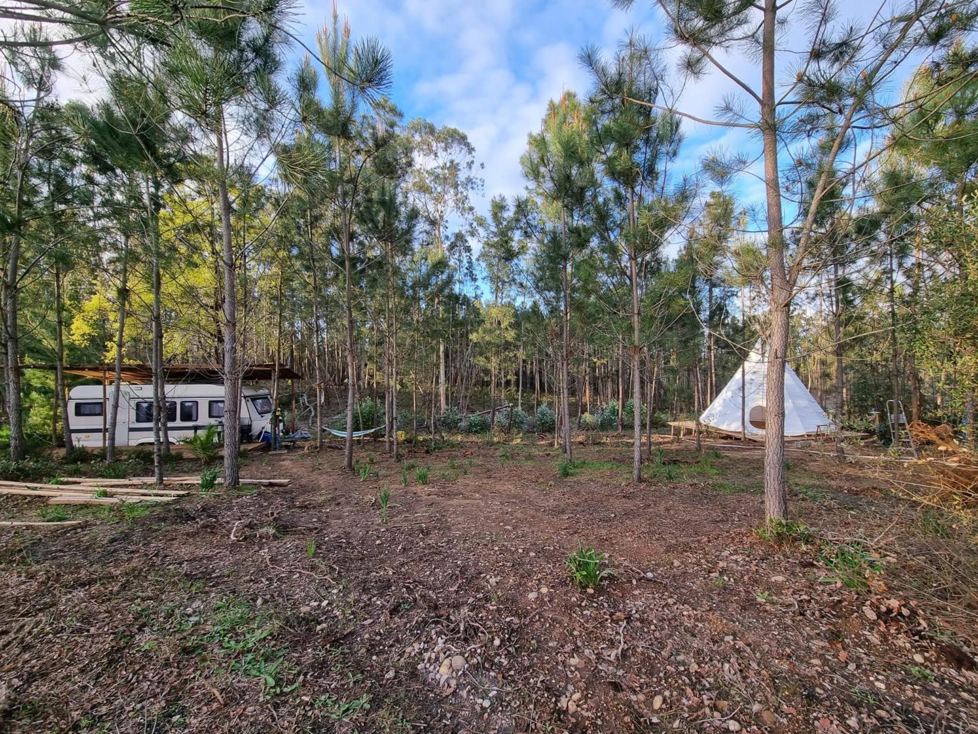 Yuccasa - Small Glamping Camping & Studio'S بومبال المظهر الخارجي الصورة
